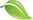 Green leaf